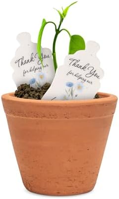 15pcs Blue Baby Bottles with Wildflower Seeds