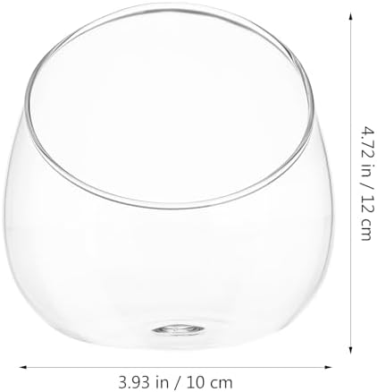 Angoily Slant Cut Glass Bowl Terrarium Container