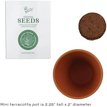 Buzzy Terracotta Mini Grow Pots 12-Count Case