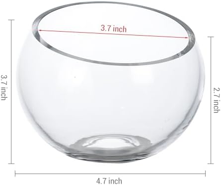 MyGift Premium Hotel Series 5 Inch Clear Glass Terrarium Set of 4