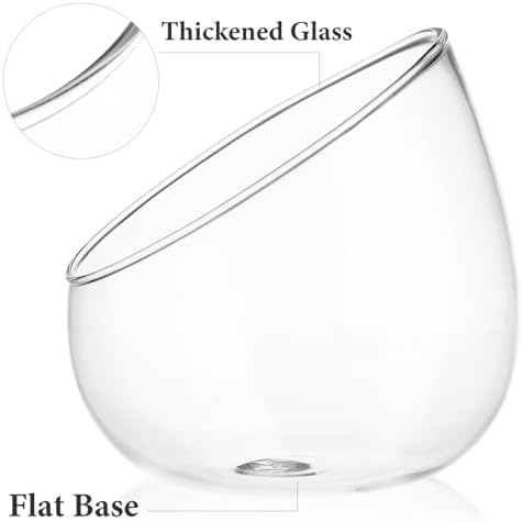 Angoily Slant Cut Glass Bowl Terrarium Container
