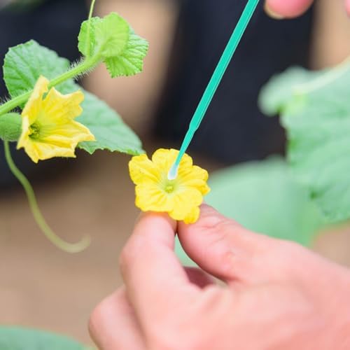 100pcs Manual Pollinator Tool Set for Vegetables and Flowers