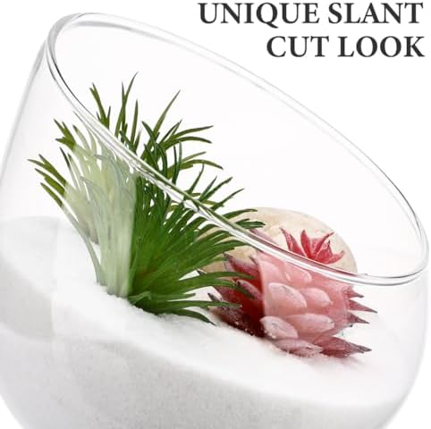 Angoily Slant Cut Glass Bowl Terrarium Container