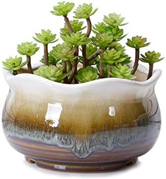 VanEnjoy Large Ceramic Succulent Pot with Drainage Hole