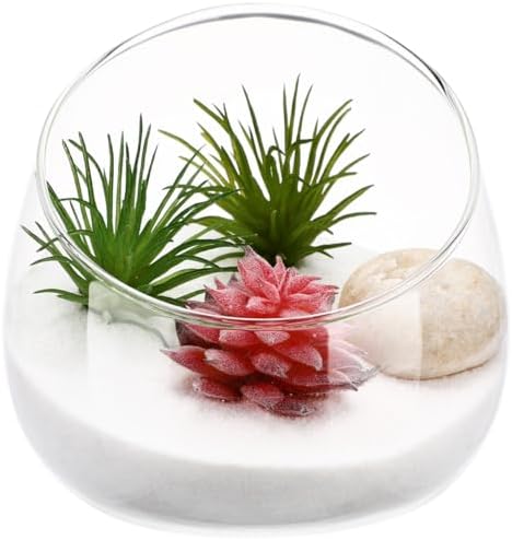 Angoily Slant Cut Glass Bowl Terrarium Container