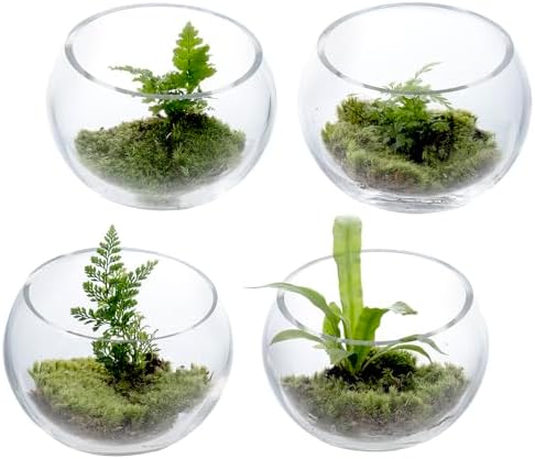 MyGift Premium Hotel Series 5 Inch Clear Glass Terrarium Set of 4