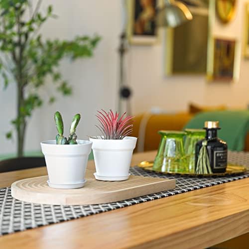 T4U 4 Inch Plant Pots 18 Pack with Saucer and Drainage Hole