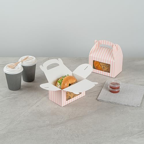 Bio Tek 6x35x35 Inch Gable Gift Boxes With Handle