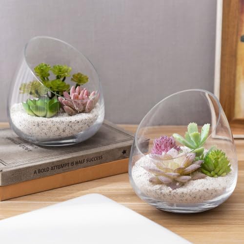 MyGift 5 Inch Clear Glass Terrarium Set of 4