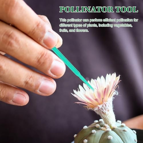 100pcs Manual Pollinator Tool Set for Vegetables and Flowers