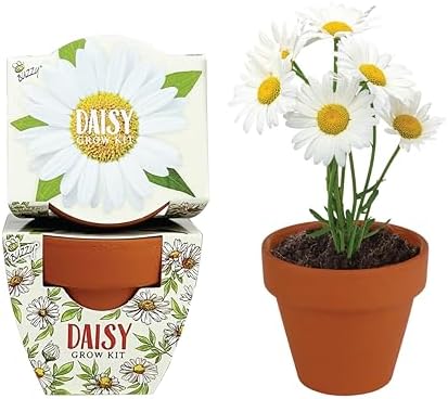 Buzzy Terracotta Mini Grow Pots 12-Count Set