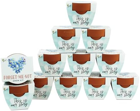 Buzzy Terracotta Mini Grow Pots 12-Count Case