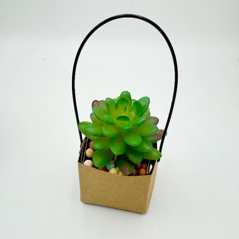 Urier 40 Piece Succulent Wraps Gift Boxes
