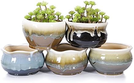 VanEnjoy Large Ceramic Succulent Pot with Drainage Hole
