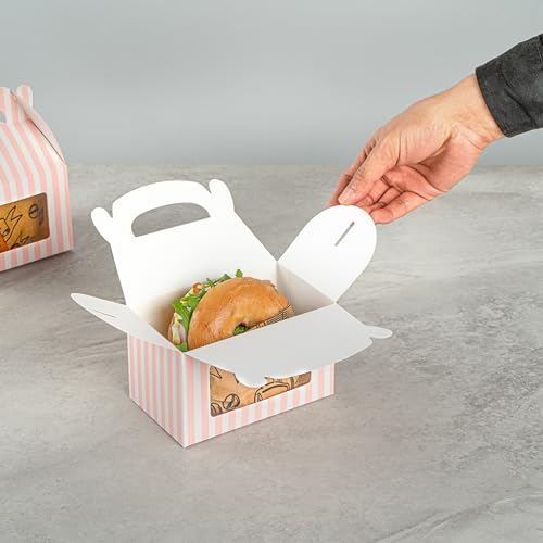 Bio Tek 6x35x35 Inch Gable Gift Boxes With Handle