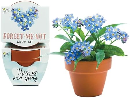 Buzzy Terracotta Mini Grow Pots 12-Count Case