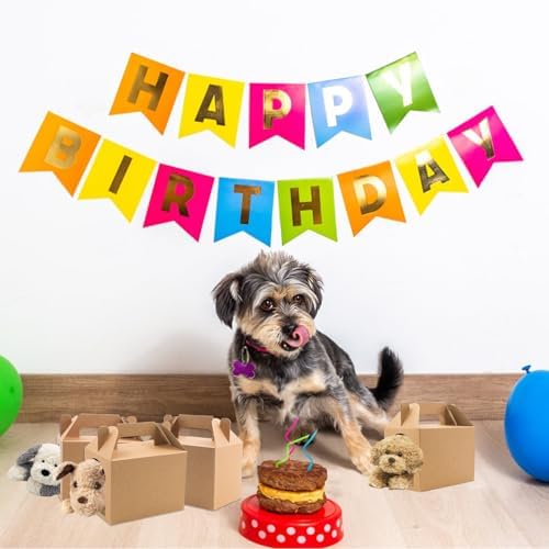 24 PCS Puppy Favors Boxes with Windows Foldable