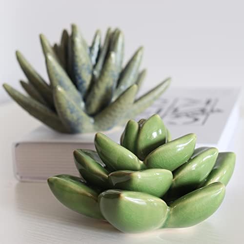 Ceramic Succulent Flower Table Top Decor with Stable Base