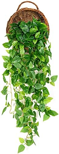 Foraineam Woven Hanging Basket for Home Garden Decorations