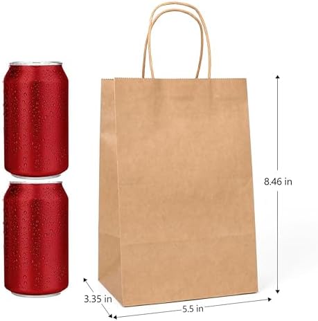 100pcs Kraft Paper Bags for Retail and Events