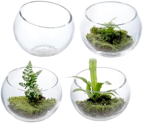 MyGift Premium Hotel Series 5 Inch Clear Glass Terrarium Set of 4