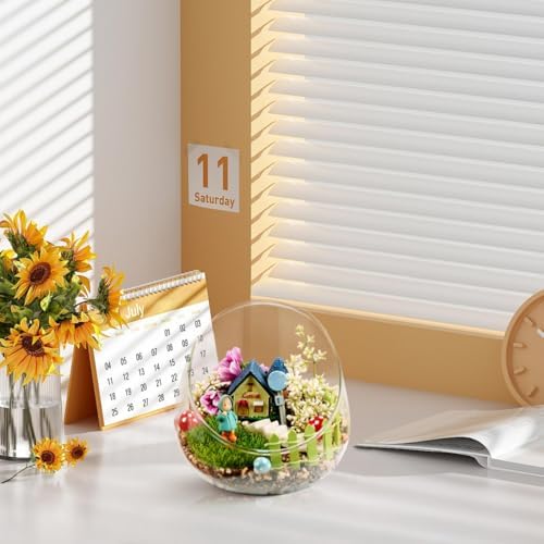 Angoily Slant Cut Glass Bowl Terrarium Container