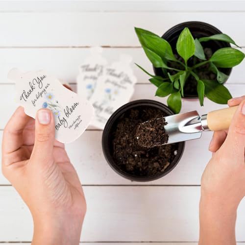15pcs Blue Baby Bottles with Wildflower Seeds