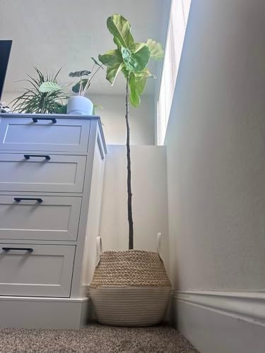 Corn Husk Handwoven Indoor Plant Pot Storage Basket