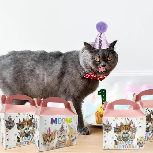 10 Pcs Foldable Cat Gift Boxes for Parties