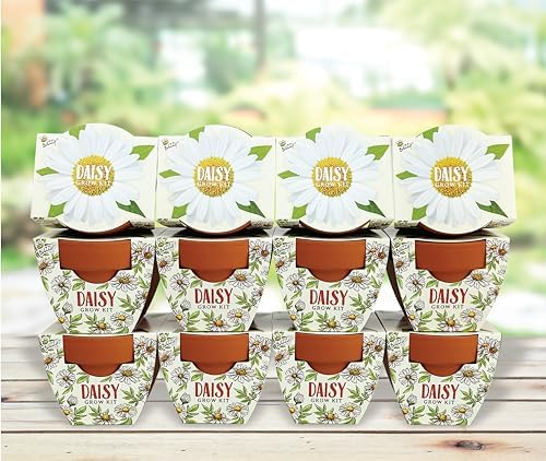Buzzy Terracotta Mini Grow Pots 12-Count Set