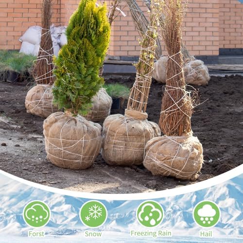 Tcevily Garden Burlap Roll 40x50 Feet Natural Jute