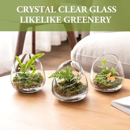 MyGift 5 Inch Clear Glass Terrarium Set of 4