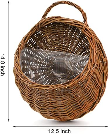 Foraineam Woven Hanging Basket for Home Garden Decorations