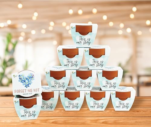 Buzzy Terracotta Mini Grow Pots 12-Count Case