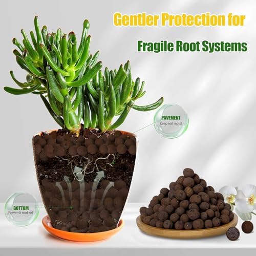 Expanded Clay Pebbles 2qt for Hydroponics and Plants