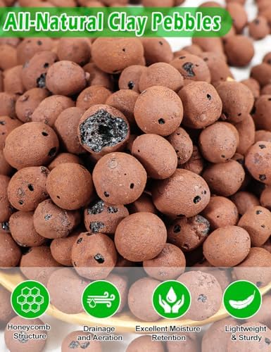 TOYPOPOR Leca Clay Pebbles for Plants 3 Quarts