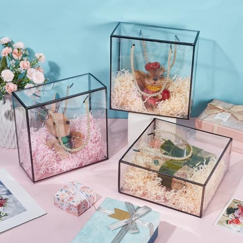 BENECREAT 10 Pack Clear PET Gift Boxes with Handle