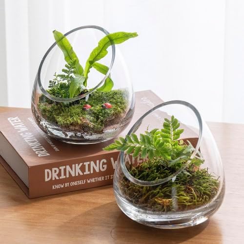 MyGift 5 Inch Clear Glass Terrarium Set of 4