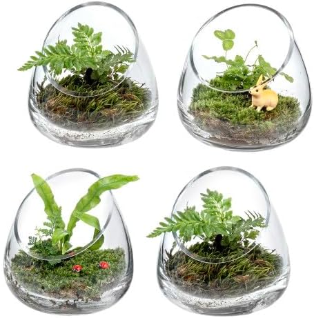 MyGift 5 Inch Clear Glass Terrarium Set of 4