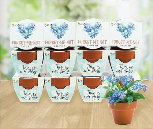 Buzzy Terracotta Mini Grow Pots 12-Count Case