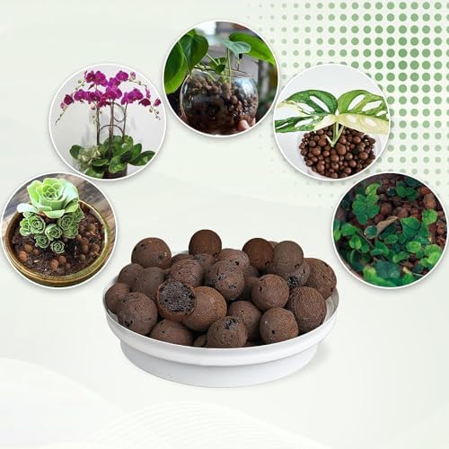 Expanded Clay Pebbles 2qt for Hydroponics and Plants