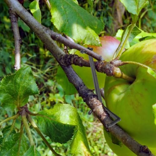 Veemoon Fruit Tree Limb Spreaders 10pcs Adjustable Branch Benders