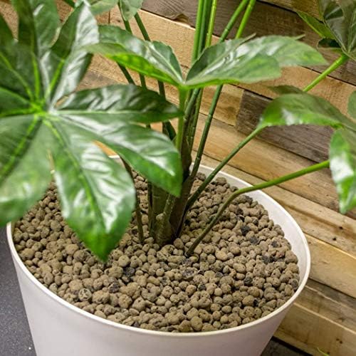 Hydrofarm GROWT Clay Pebbles 10 Liter Bag