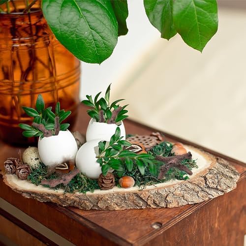 HUIANER 8pcs Mini Garden Stump Branches Decorations