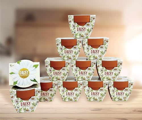 Buzzy Terracotta Mini Grow Pots 12-Count Set