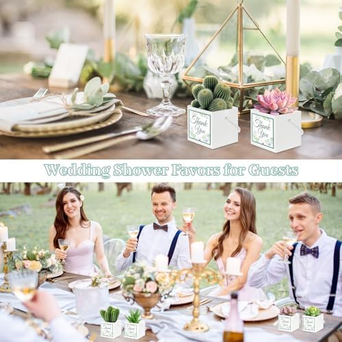 LawnIdyll 50 Pcs Succulent Wrap Bags with Thank You Stickers