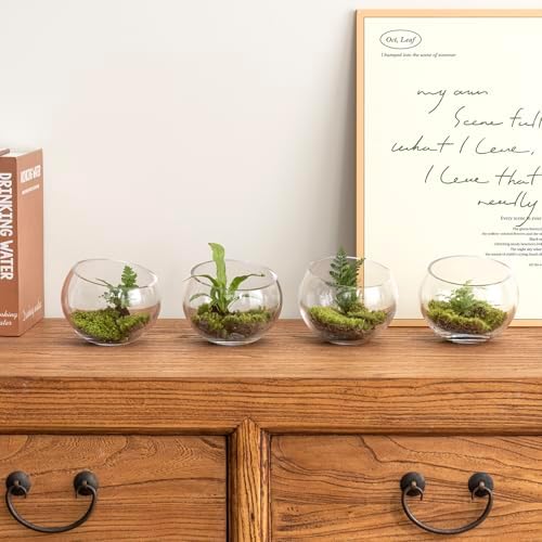 MyGift Premium Hotel Series 5 Inch Clear Glass Terrarium Set of 4