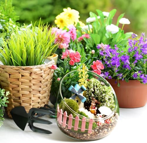 Angoily Slant Cut Glass Bowl Terrarium Container