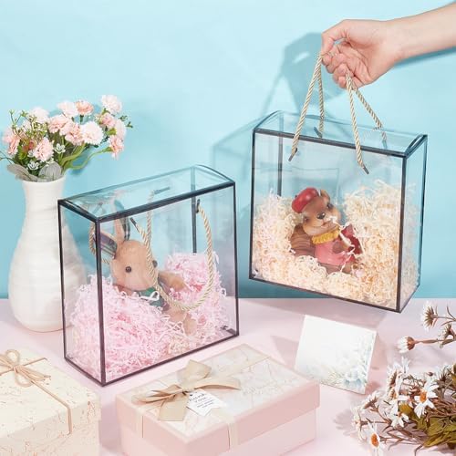 BENECREAT 10 Pack Clear PET Gift Boxes with Handle