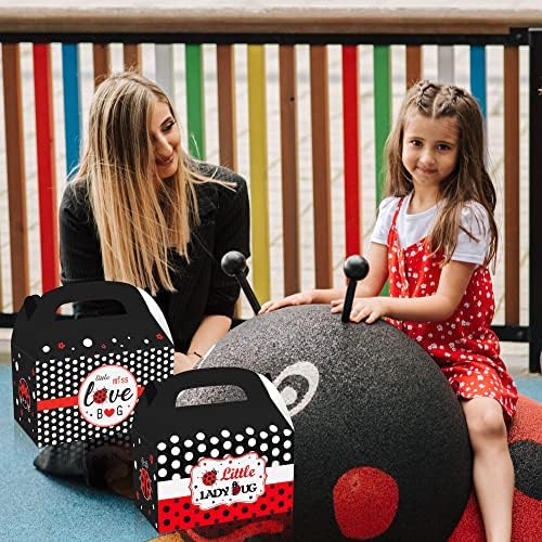 12 Pack Ladybug Party Favor Treat Boxes